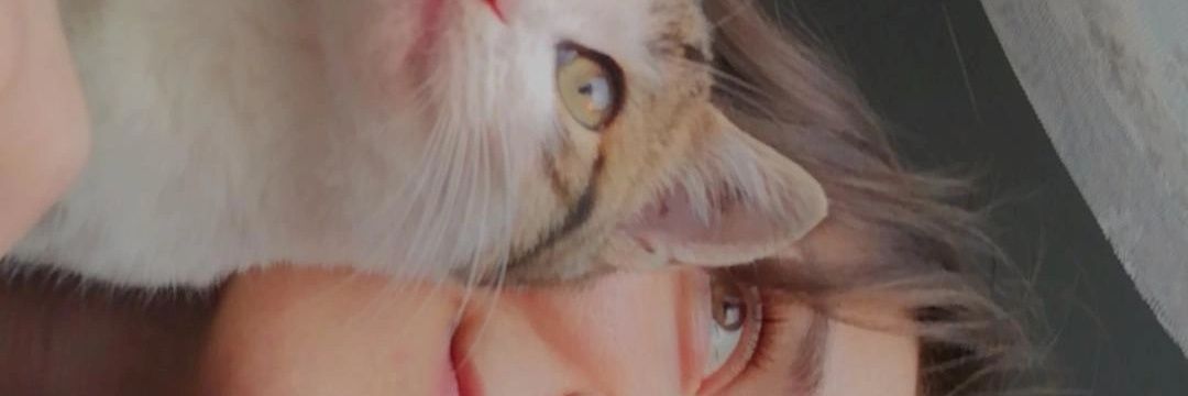 HAkmnn's profile banner image