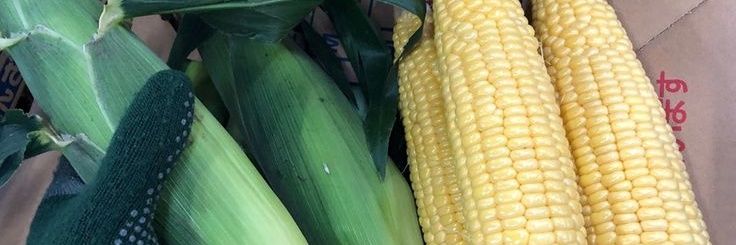 Яблочник banner