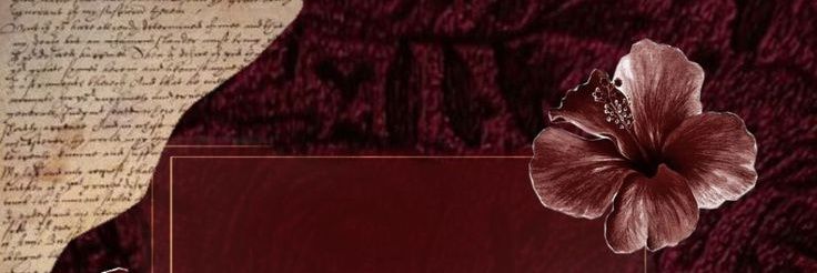 vvittaccikka's profile banner image
