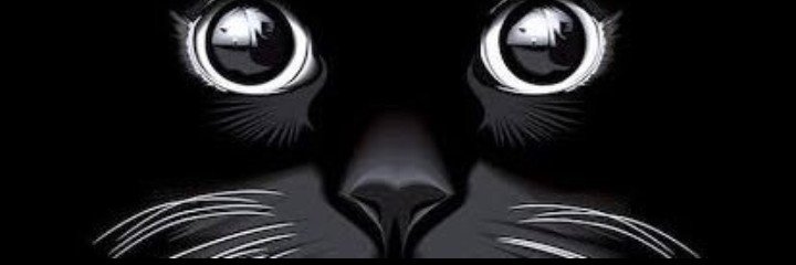 BraysonKay507's profile banner image