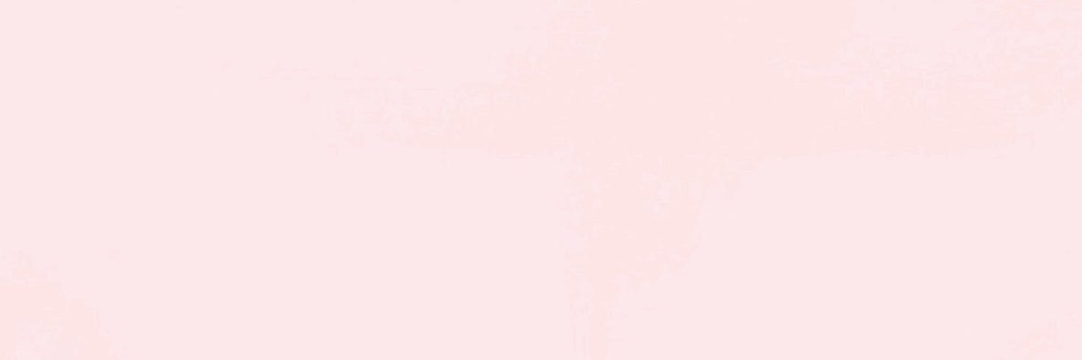 xlly_ii's profile banner image
