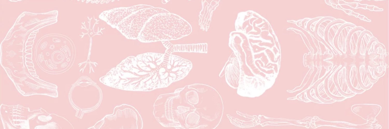 FancyFrancy banner