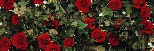 Steven Kopacz banner