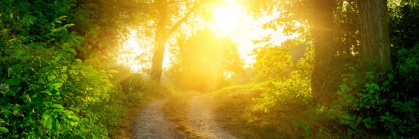 SaporaKTravels Profile Banner