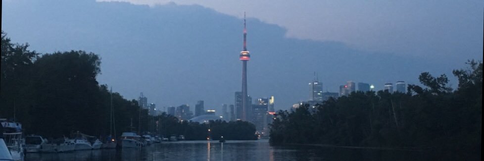 Prickly Shark banner