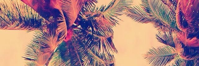 vickyvazquez09's profile banner image