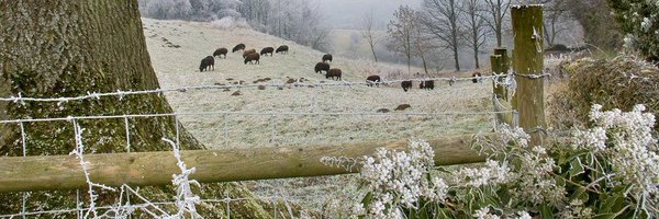 eeerphy Profile Banner