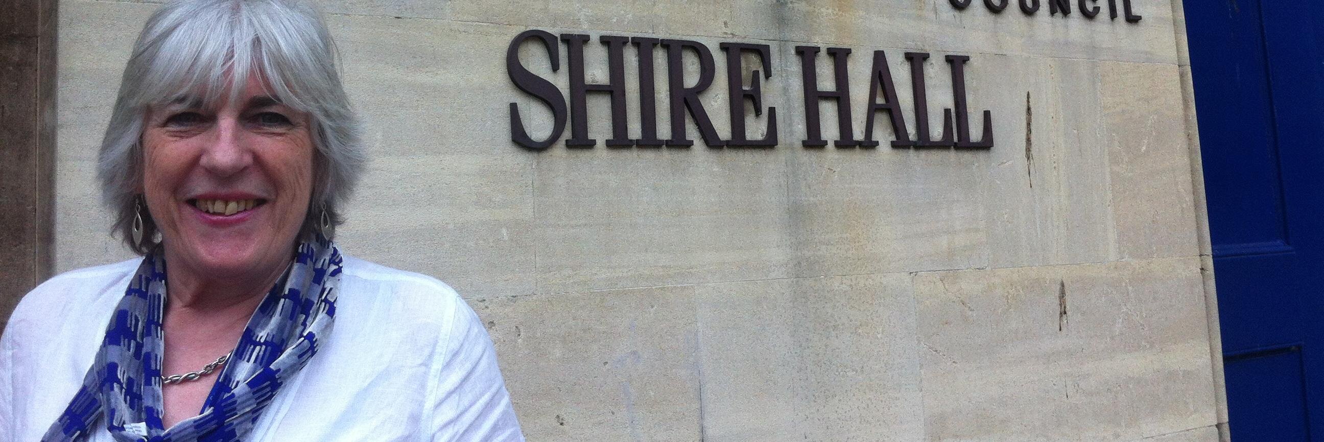 Lesley Williams banner