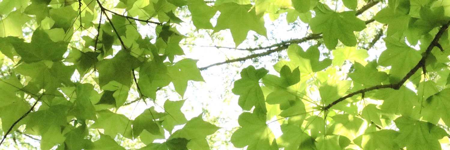 feerinlove's profile banner image