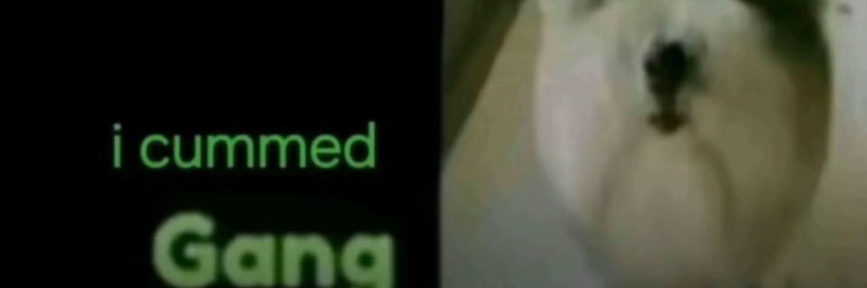 limecitruss's profile banner image