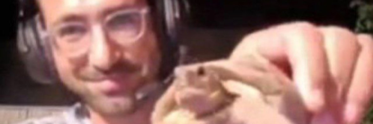 Turtonkas's profile banner image