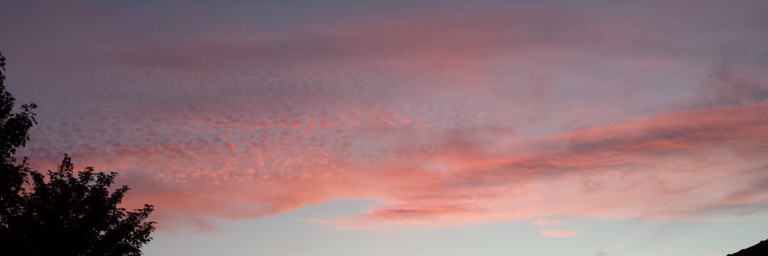 Steph Dimond banner