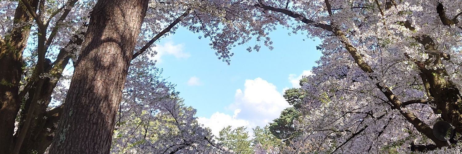 SbrTmmr's profile banner image