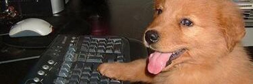 lodarbs's profile banner image