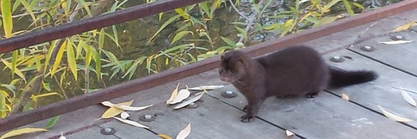 STEMIdaho Profile Banner