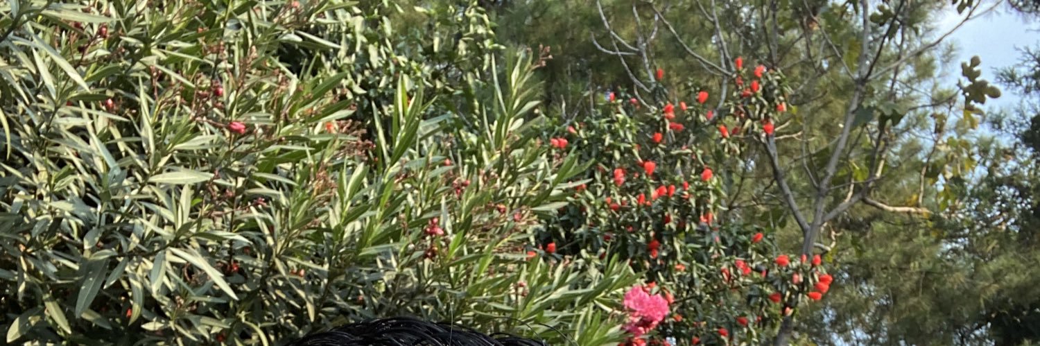 balammh's profile banner image