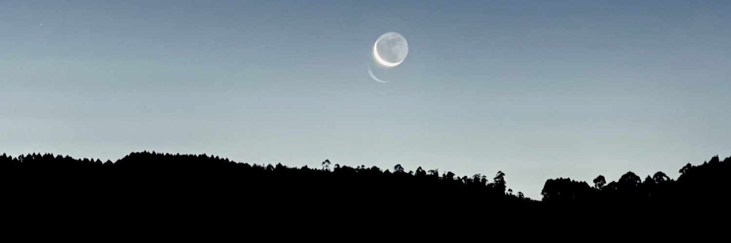 carles_sune's profile banner image