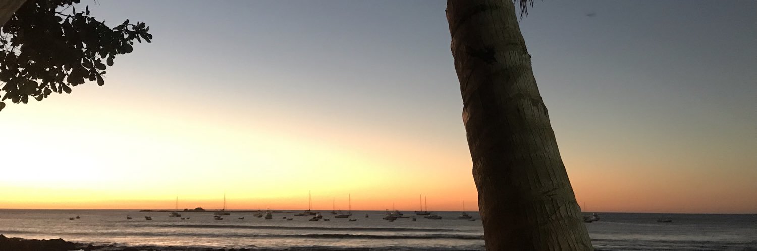 viquesa04's profile banner image