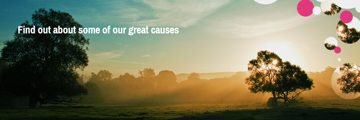 FMGFoundation's profile banner image