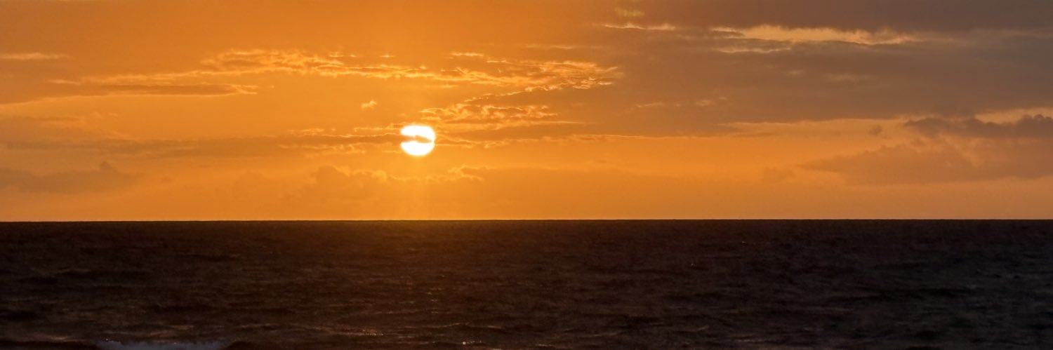 Lí Xiào 🐉🐣🐣 banner
