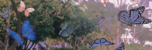 authorella_2 Profile Banner