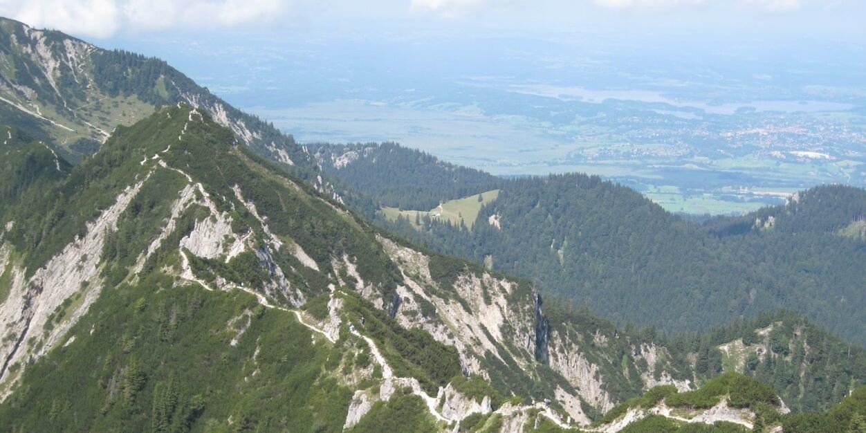 PetrVecerek's profile banner image