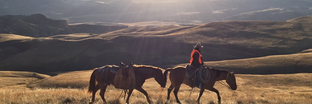 HuntingStories's profile banner image