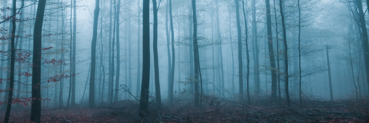 DavidKylePayne's profile banner image