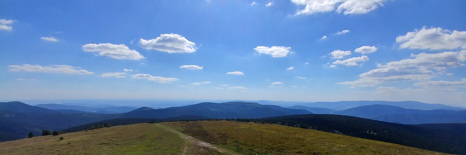 johnjuniorcz's profile banner image