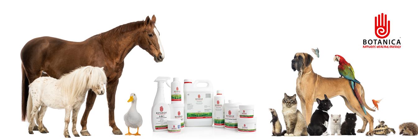 Botanica Int Ltd (@Botanica_ie) / Posts / X