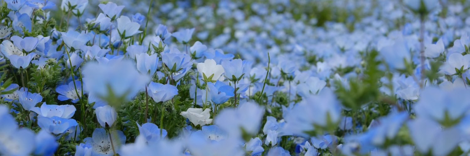 kanako_h23's profile banner image