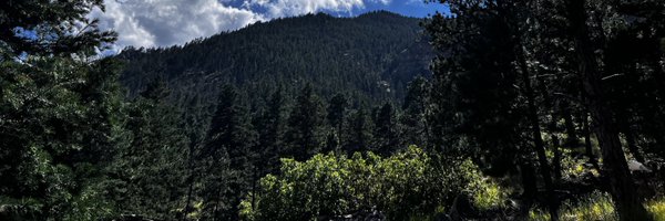 TapesRewound Profile Banner