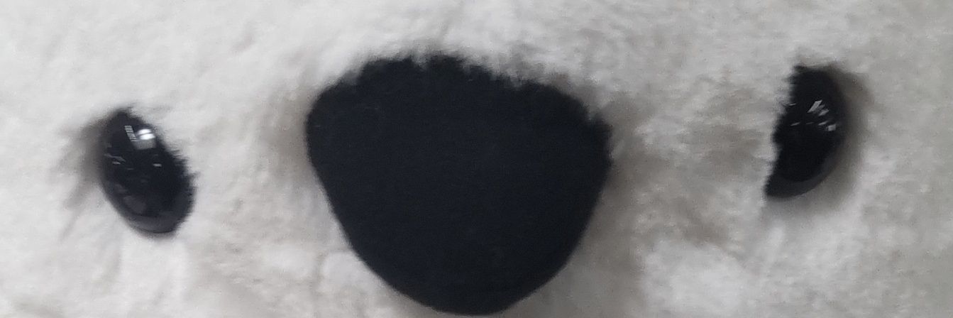 syuntaVRC's profile banner image