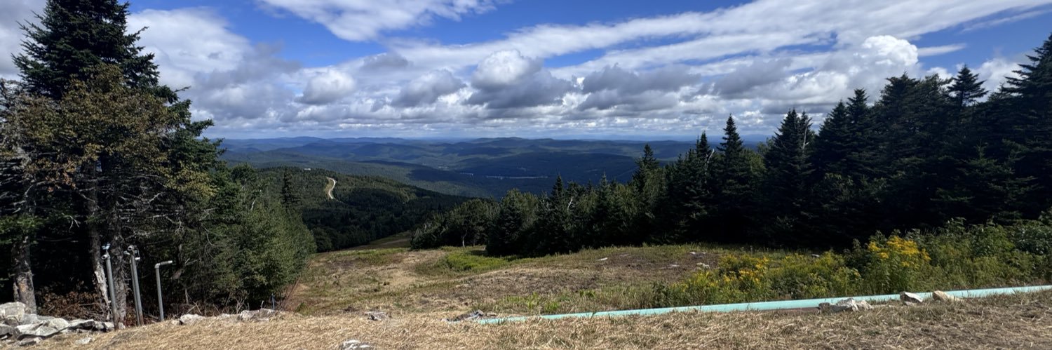 royalsunflower🌻 banner