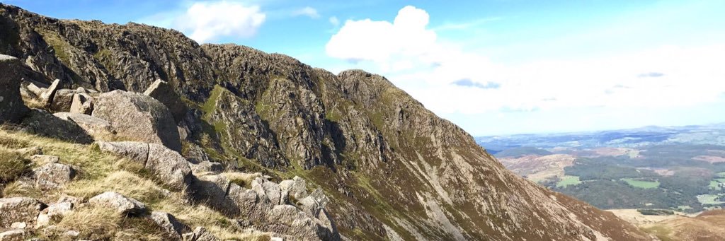 Antonia Cook MRCPara banner