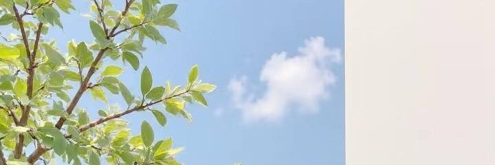 bn8834's profile banner image