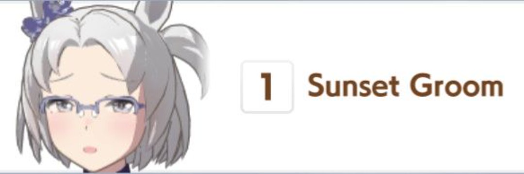 Sunset Groom banner