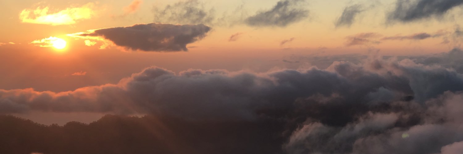 Talia244's profile banner image