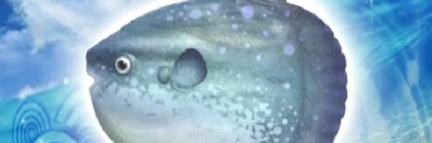 ˚ ༘⋅｡ ғɪs banner