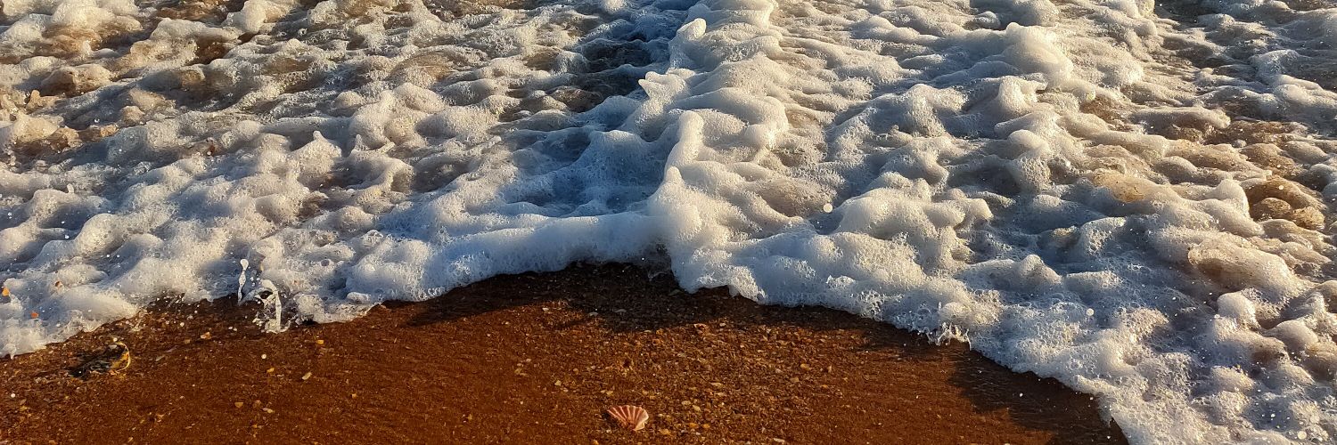 Silvia Robledo banner