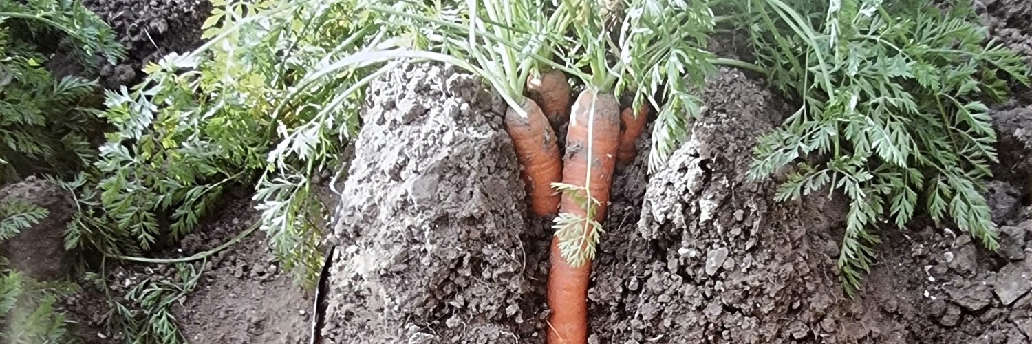 Ruud Hendriks banner