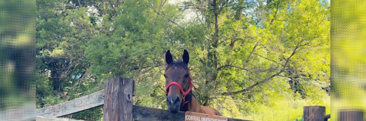 JLKMalecha's profile banner image