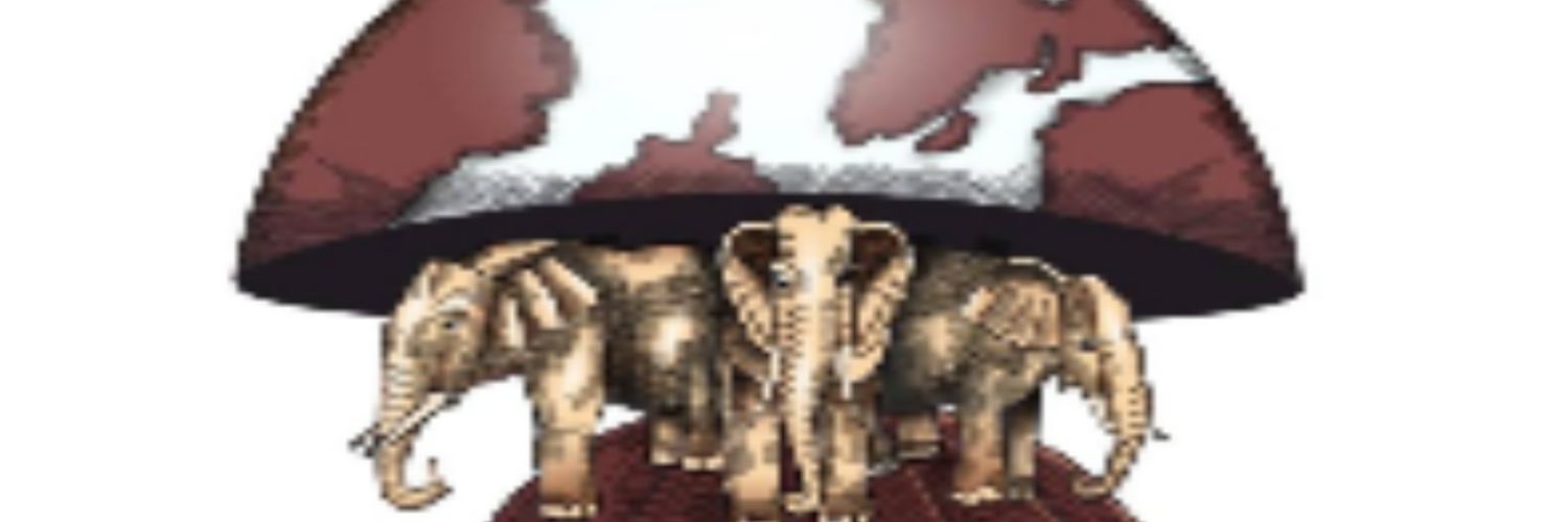 DebtcoinFi's profile banner image