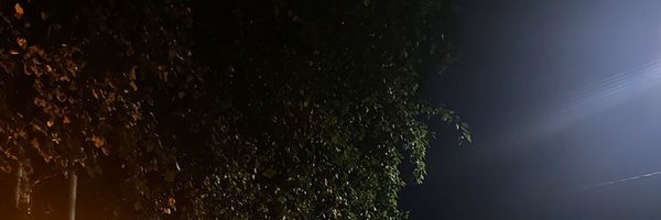 takingwhat Profile Banner