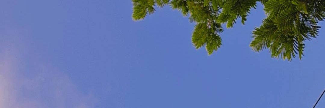 สป banner