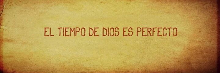 juan felipe rojo banner