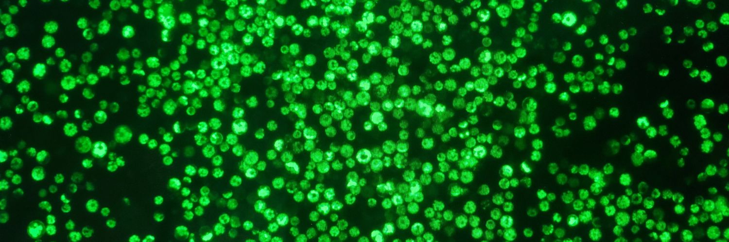 @KarlHvM@scicomm.xyz*️⃣ banner