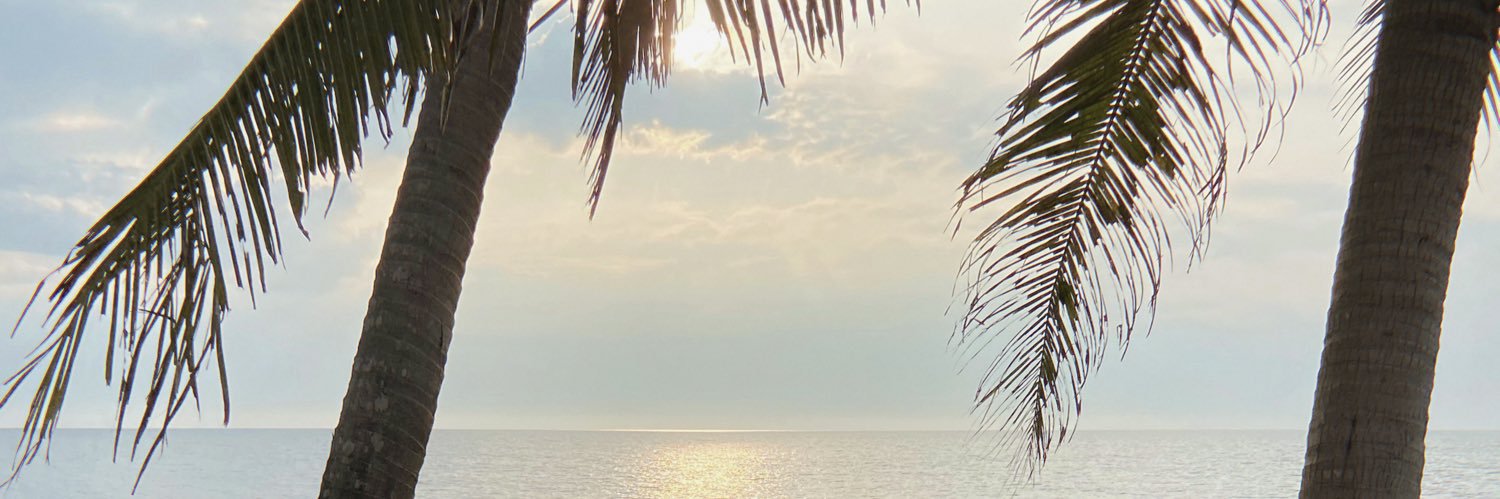 Nikaiiiii's profile banner image