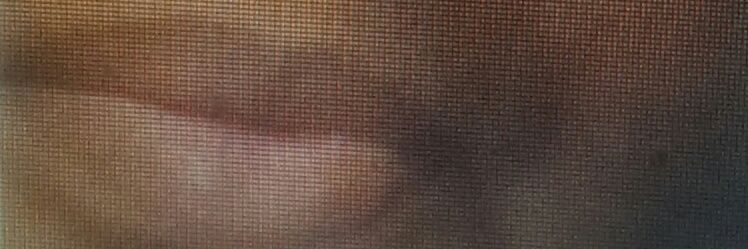BarbaraGemini's profile banner image
