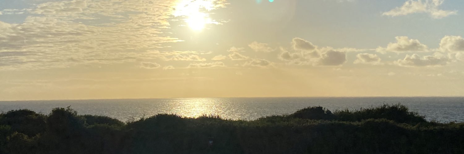 tweety74's profile banner image